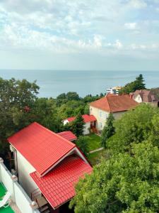 Климентина - 26