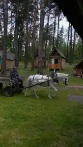 Новый Горизонт - 25