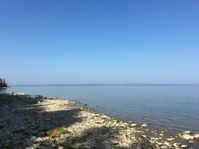 Палаточный лагерь - 48