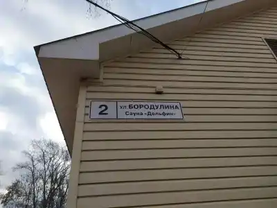 Дельфин - 16