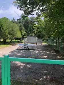 Бетта - 20