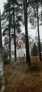 Сосновый Бор - 31