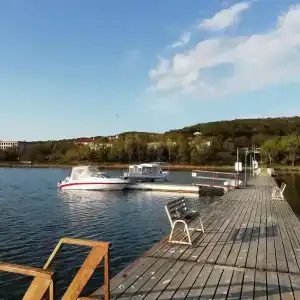 Белый лебедь - 23