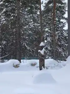 Радуга - 20