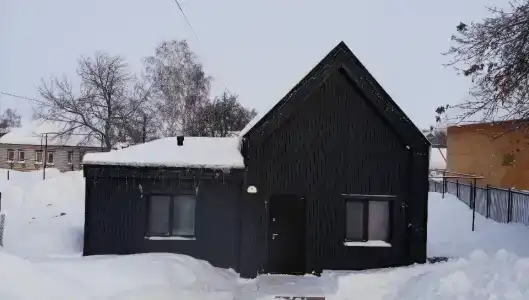 Черный дом - 39