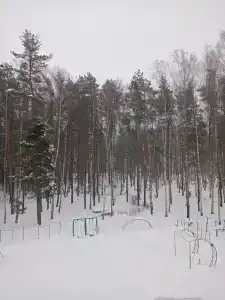 Тонус - 3