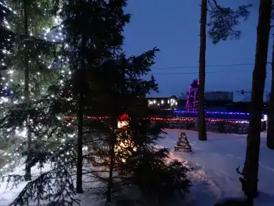 Питомник - 6