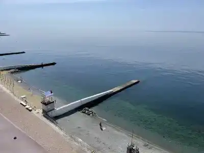 Селена - 10