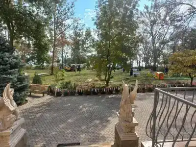 Мечта Тея - 75