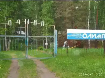 Учебно-оздоровительный лагерь Олимп - 1