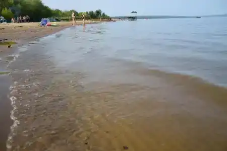 Чистый продукт - 37