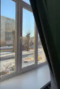 Каменский - 5