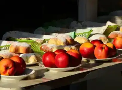 Пансионат Дельта - 91