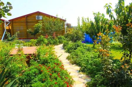 Простоквашино на Азове - 25