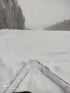 Долгий лог - 27