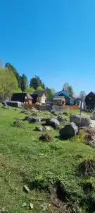 Светлая - 22