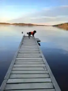 Отдых у воды - 4