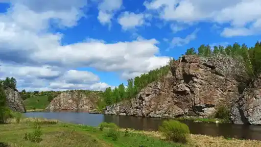 Сосновый бор - 79