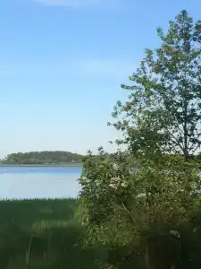 ГаммаСофт - 41