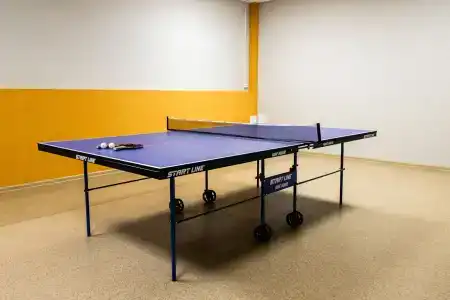 Сосны - 36