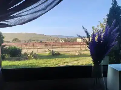 Страусиная ферма Экзотик - 21