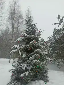 Богданово - 42