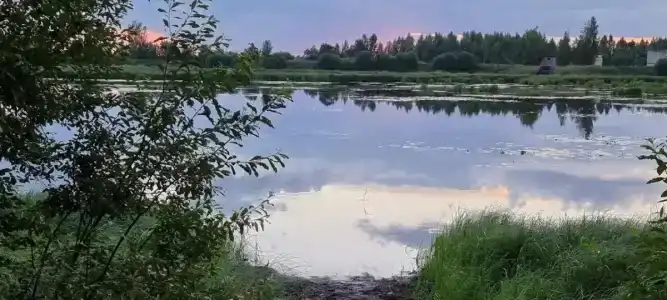 Усадьба на Шамокше - 8