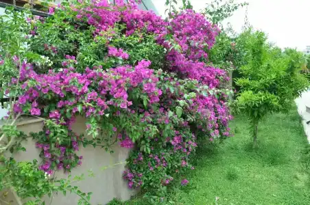 premium park apart otel - 6