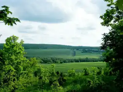 Ягодная Поляна - 3