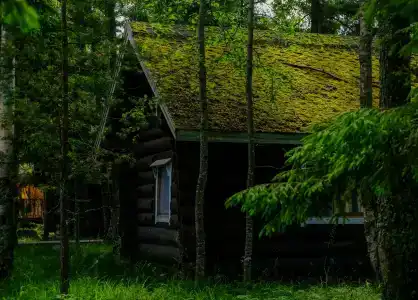 Самая Ладога - 5