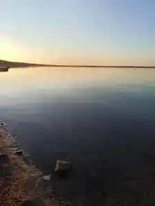 Уралец - 36