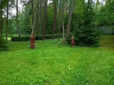 Пионер - 17