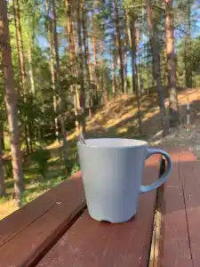 Усадьба на Шамокше - 24