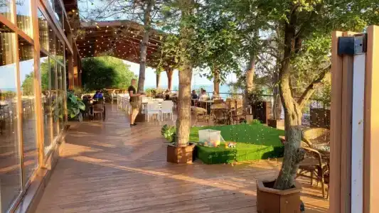 Черномор - 12