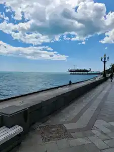 Палас - 43