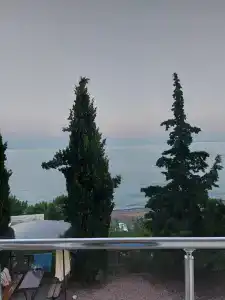 Багира - 64