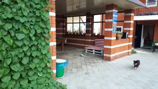 Морская - 11