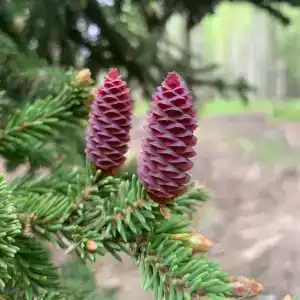 Место силы - 32