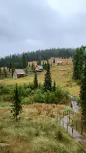 Эдельвейс - 13