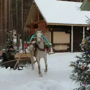 Разгуляево - 3