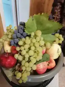 Под мухой - 8