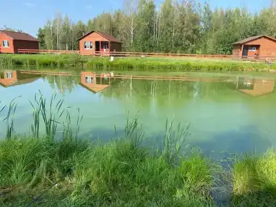 База отдыха Некрасовские Дачи - 53
