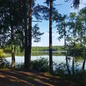 Поместье озера Сиркоярви - 36