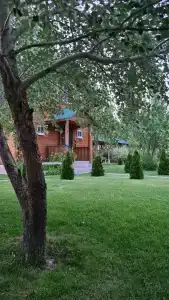 Мечта - 45
