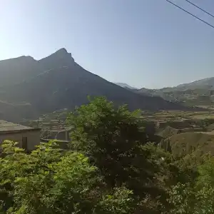 Пение птиц - 70