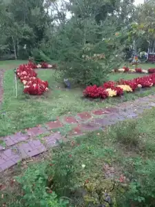 Феникс - 22