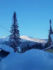 Кречет - 2