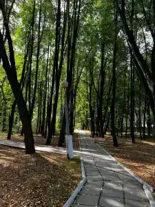 Лесное озеро - 14