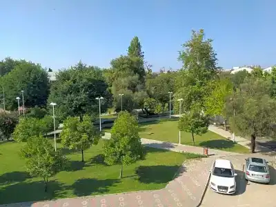 The Sansa & Spa - 12