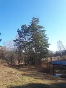 Сухов ключ - 29